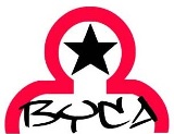 byca-colour-smll